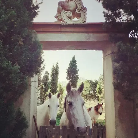 Domaine Des Jasses 5*