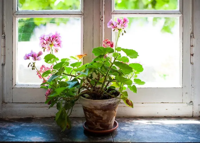 Domaine Des Jasses Bed & Breakfast Montréal