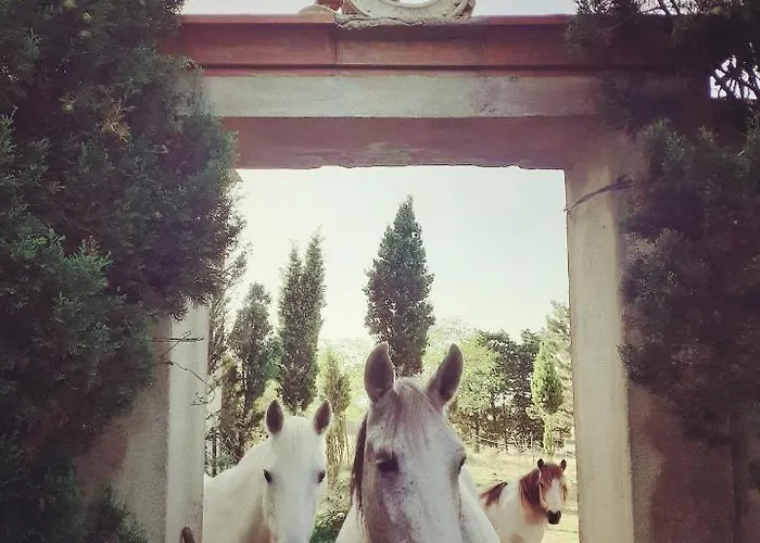 Domaine Des Jasses 5*